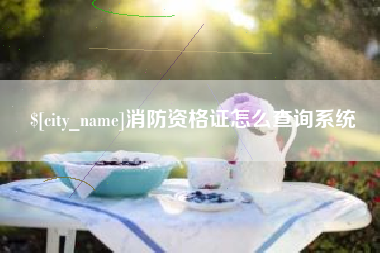 邵阳消防资格证怎么查询系统