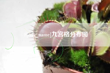 邵阳九宫格分布图