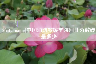 邵阳中国消防救援学院河北分数线是多少