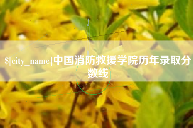 邵阳中国消防救援学院历年录取分数线