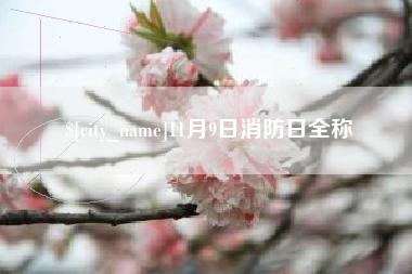 邵阳11月9日消防日全称