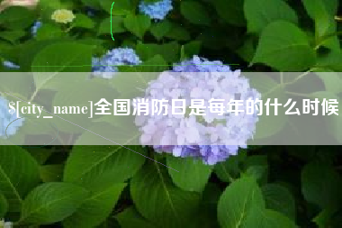 邵阳全国消防日是每年的什么时候