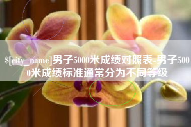 邵阳男子5000米成绩对照表-男子5000米成绩标准通常分为不同等级