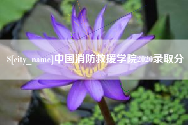 邵阳中国消防救援学院2020录取分