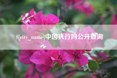邵阳中国执行网公开查询