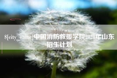 邵阳中国消防救援学院2021年山东招生计划