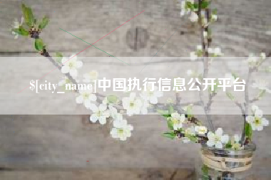 邵阳中国执行信息公开平台