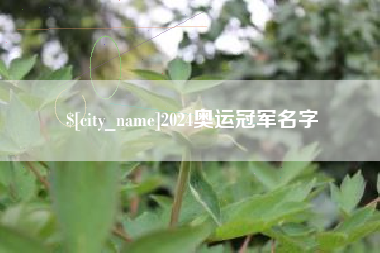 邵阳2024奥运冠军名字