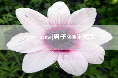 邵阳男子5000米冠军