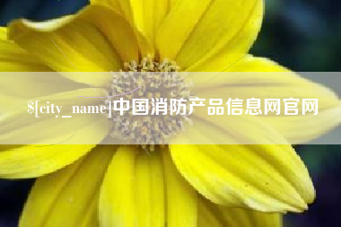 邵阳中国消防产品信息网官网