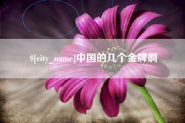 邵阳中国的几个金牌啊