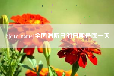 邵阳全国消防日的日期是哪一天