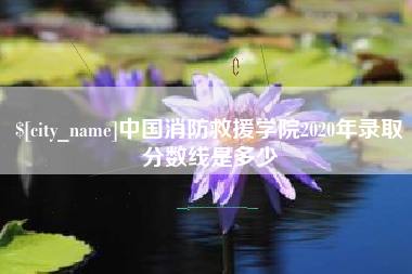 邵阳中国消防救援学院2020年录取分数线是多少