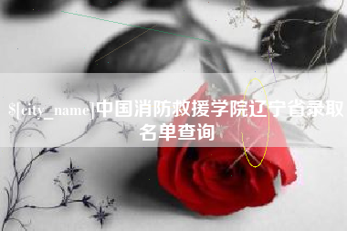 邵阳中国消防救援学院辽宁省录取名单查询