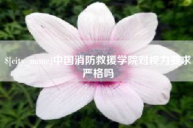 邵阳中国消防救援学院对视力要求严格吗
