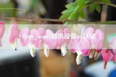 邵阳消防设备ccc认证