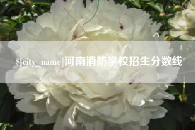邵阳河南消防学校招生分数线
