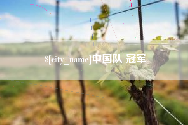 邵阳中国队 冠军