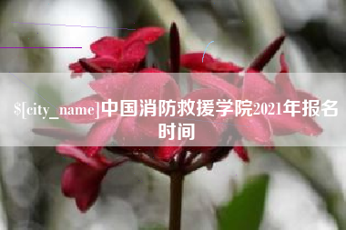 邵阳中国消防救援学院2021年报名时间