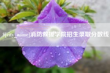 邵阳消防救援学院招生录取分数线