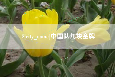 邵阳中国队九块金牌