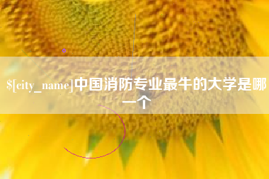 邵阳中国消防专业最牛的大学是哪一个
