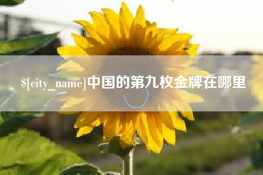邵阳中国的第九枚金牌在哪里