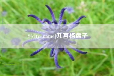 邵阳九宫格盘子