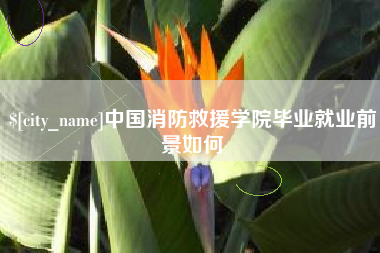 邵阳中国消防救援学院毕业就业前景如何