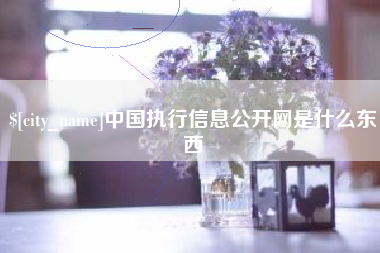 邵阳中国执行信息公开网是什么东西