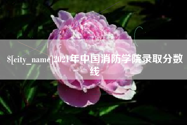 邵阳2021年中国消防学院录取分数线