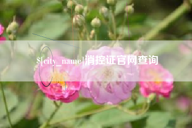 邵阳消控证官网查询