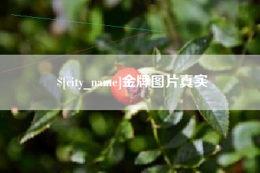 邵阳金牌图片真实