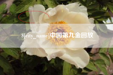 邵阳中国第九金回放