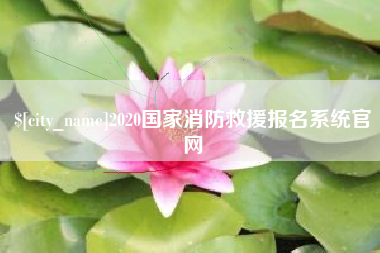 邵阳2020国家消防救援报名系统官网