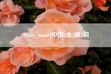 邵阳中国3金3银3铜