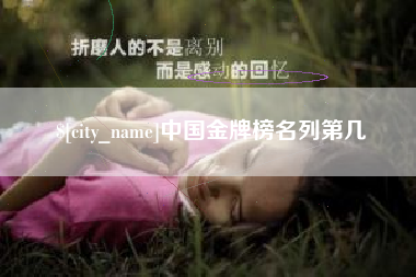 邵阳中国金牌榜名列第几