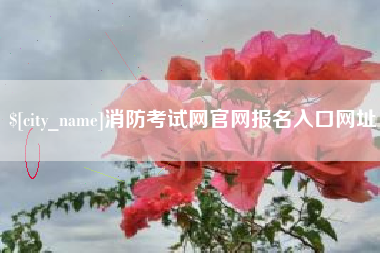 邵阳消防考试网官网报名入口网址