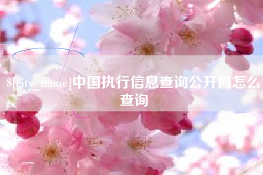 邵阳中国执行信息查询公开网怎么查询