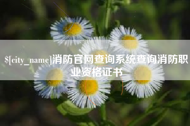 邵阳消防官网查询系统查询消防职业资格证书