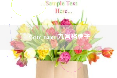 邵阳九宫格牌子