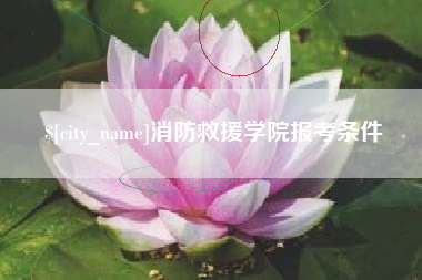 邵阳消防救援学院报考条件