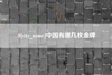 邵阳中国有哪几枚金牌