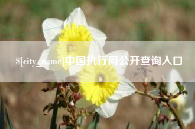 邵阳中国执行网公开查询入口