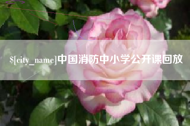 邵阳中国消防中小学公开课回放