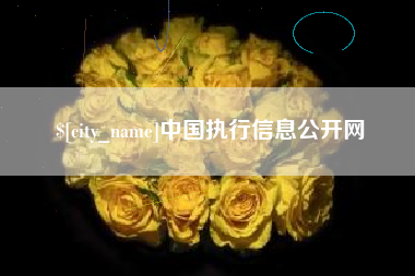 邵阳中国执行信息公开网
