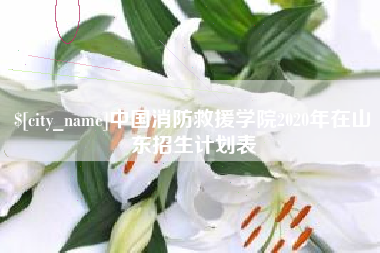 邵阳中国消防救援学院2020年在山东招生计划表