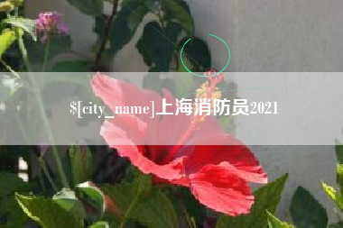 邵阳上海消防员2021