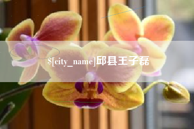 邵阳邱县王子磊