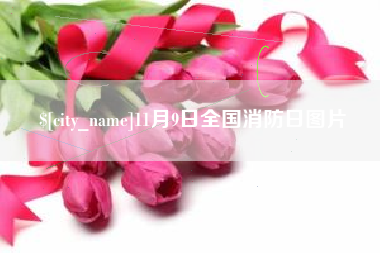 邵阳11月9日全国消防日图片